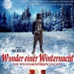 091210-wunder-einer-winternacht