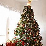 111207-weihnachtsbaumkauf