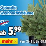 weihnachtsbaum-rabatt-praktiker
